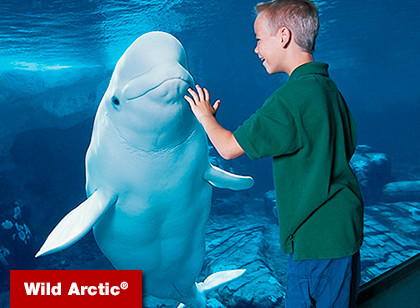 SeaWorld San Diego Kid's Free Single Day  